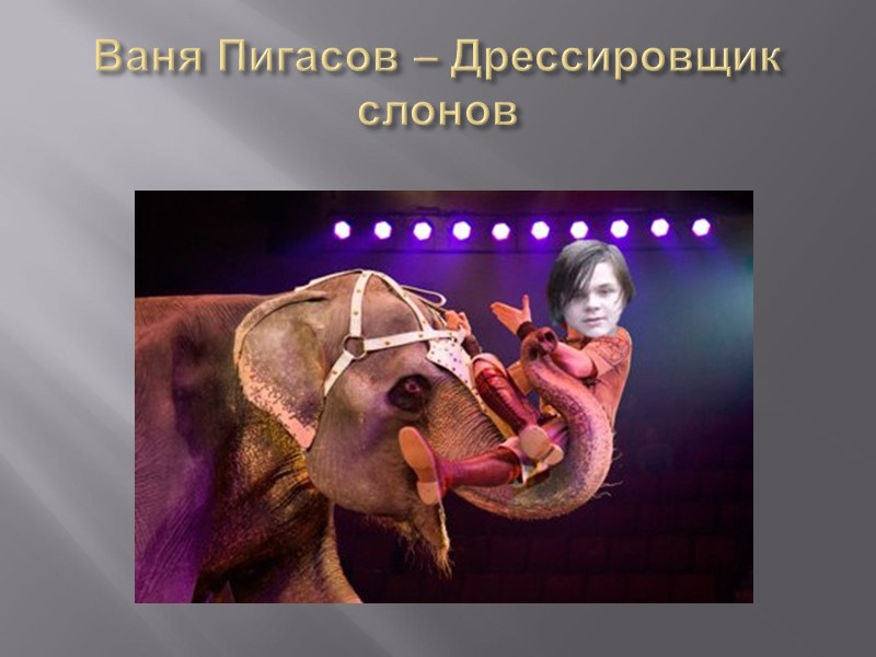 Ваня Пигасов – Дрессировщик слонов